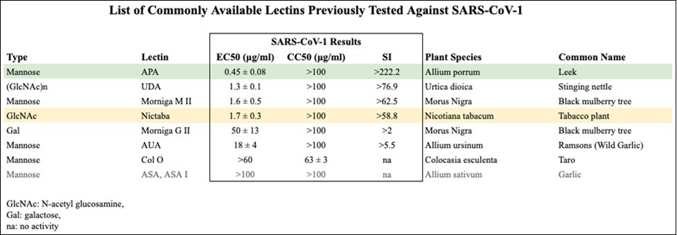 Of the 20 plant lectins that previously tested active against SARS-CoV-1, 9 are from plant species commonly eaten or used, and of those, 6 are mannose binding lectins. None of these lectins were toxic below 50 μg/ml concentrations with even the most toxic lectin from Taro (Colocasia esculenta), an edible plant frequently consumed by several cultures.