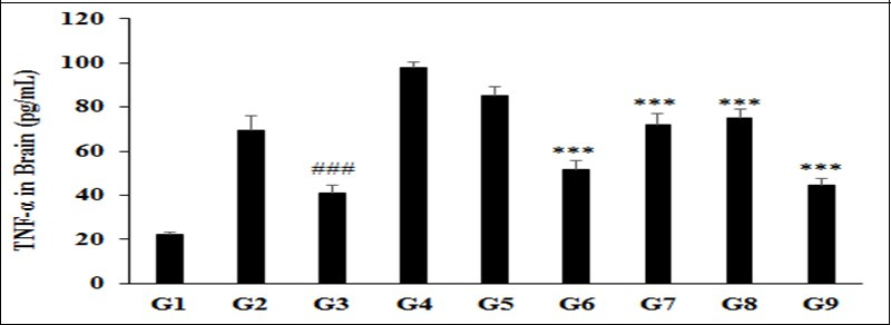 Expression of brain Tumour Necrosis Factor Alpha (TNF-α) after administration of Biofield Treated/Blessed test formulation and Biofield Energy Healing/Blessing per se to the Sprague Dawley rats. ###p≤0.001 vs. G2 and ***p≤0.001 vs. G4.