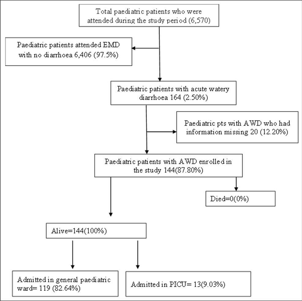 Figure 1. Flow diagram of paediatric patients with AWD attended at EMD MNH, Tanzania.