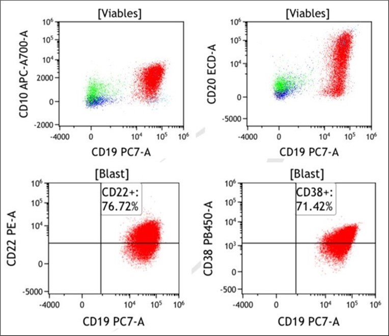 Figure 1. Flow cytometric result