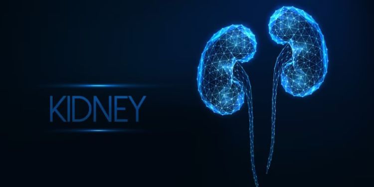 Article: Baroreflex Sensitivity, Cardiac and Kidney Remodeling and Deterioration in Vasoactive Substances Content in Blood in Experimental Model of Renovascular Hypertension. Action of Natural Flavone, Luteolin