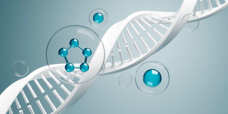 Article: The Chromosomes of Dictyostelium Giganteum