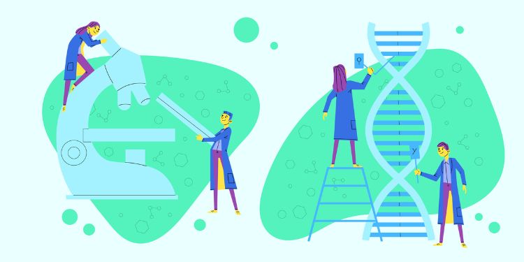 Article: Genotypic Diversity among Salmonella Typhi Isolated from Children Living in Informal Settlements in Nairobi, Kenya