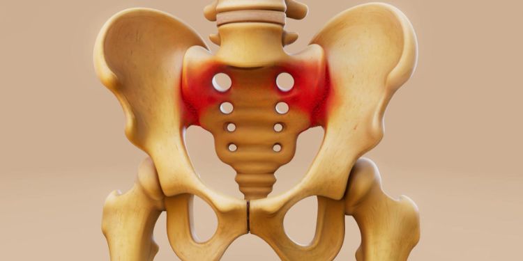 Article: From Pelvis to Foot: A Functional Approach to Preventing Ankle Sprains in Athletes