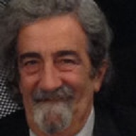 Arthritis Research and Therapy-Immune regulation; inflammatory diseases; primary and secondary immunodeficiencies; biological therapies; stem cells; allergy; arthritis; connective tissue diseases; cytokines; metabolism; aging
-Roberto Paganelli